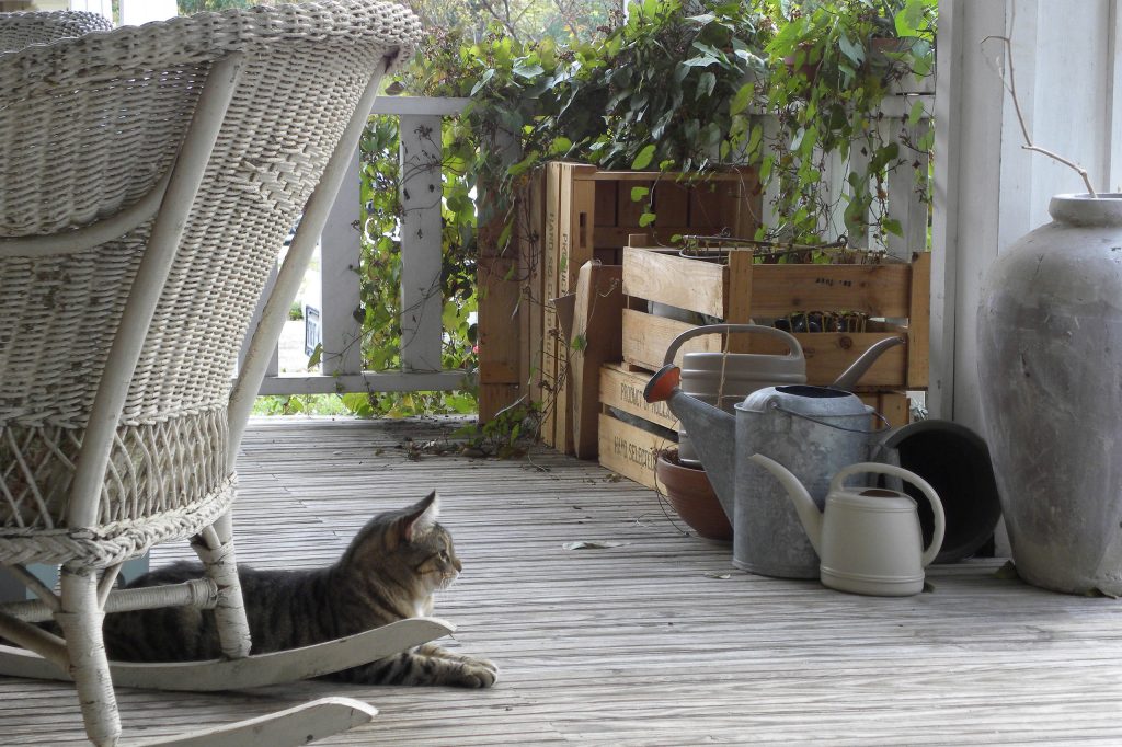 Photo: Sarah Greenman © 2012 Houzz