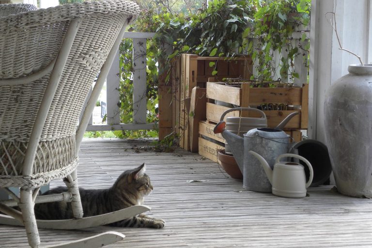 Photo: Sarah Greenman © 2012 Houzz