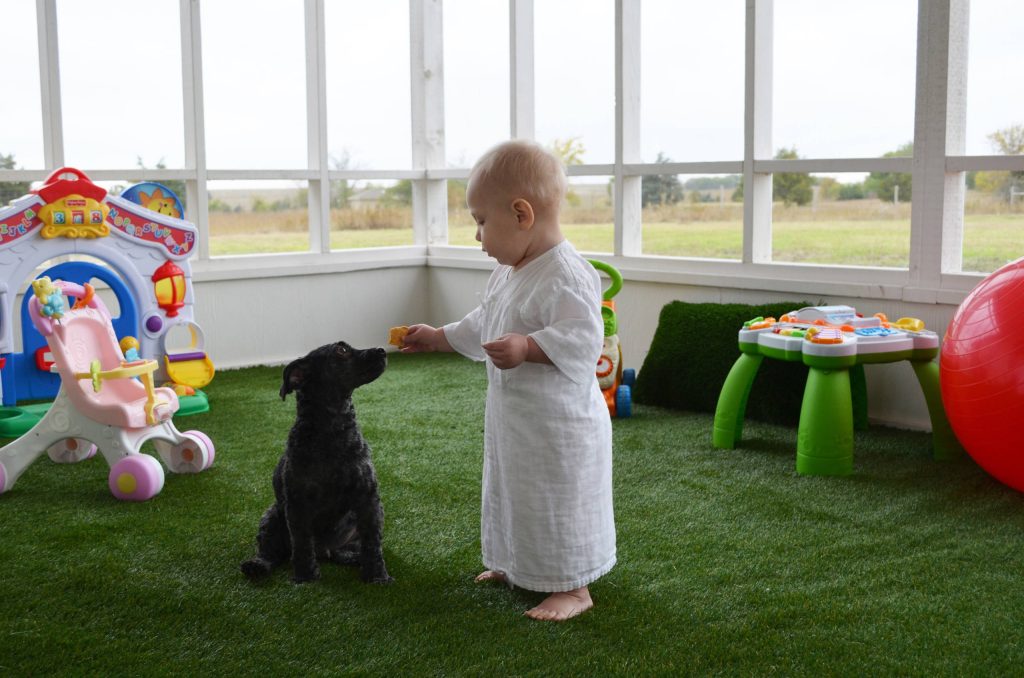 Photo: Sarah Greenman © 2013 Houzz