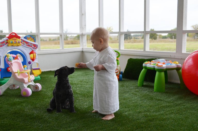 Photo: Sarah Greenman © 2013 Houzz