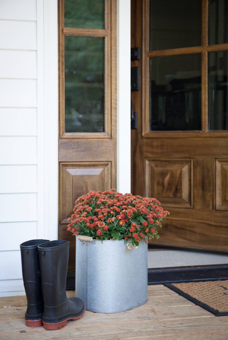 Photo by Caroline Allison