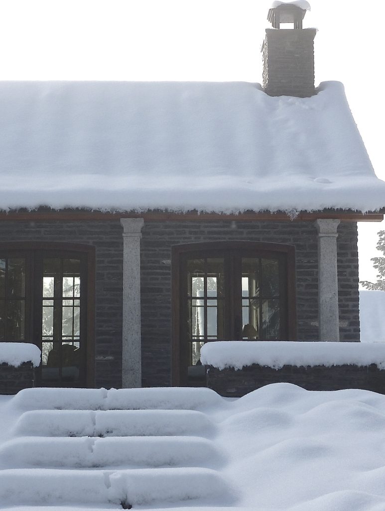 Photo by Lydia Scherer