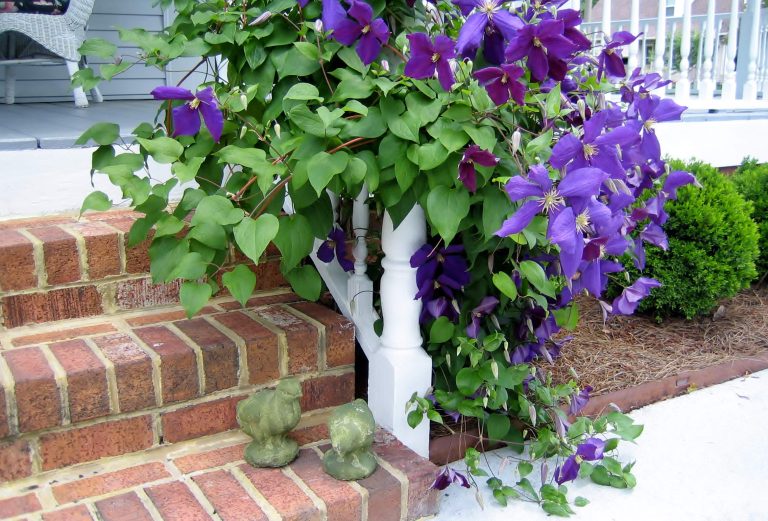 Photo by Mary Baldwin