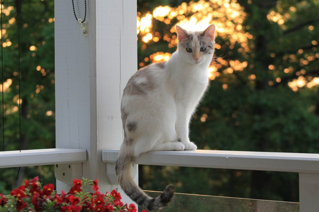 Photo courtesy of Karl and Nancy Larson.