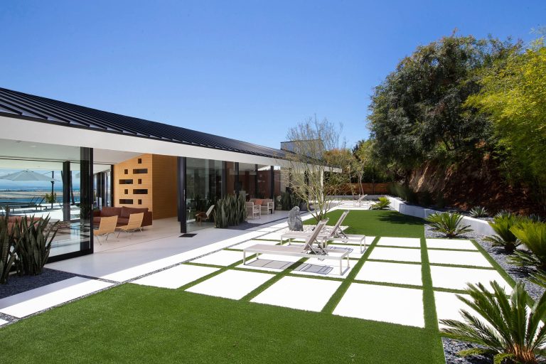 Photo of a contemporary backyard landscaping in Phoenix.