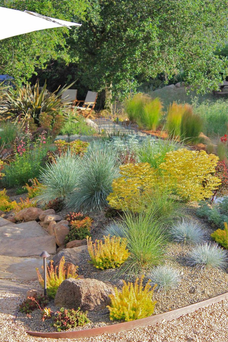 Photo of a contemporary drought-tolerant backyard landscaping in San Francisco.