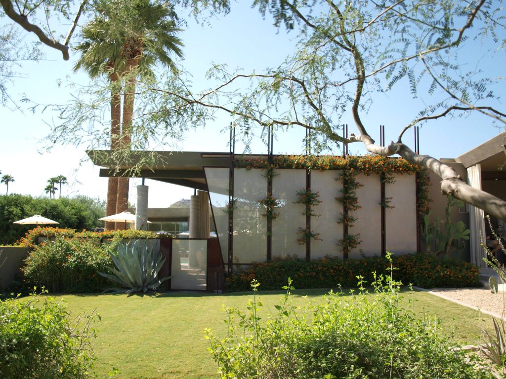 Photo of a large full sun backyard landscaping in Phoenix for summer.