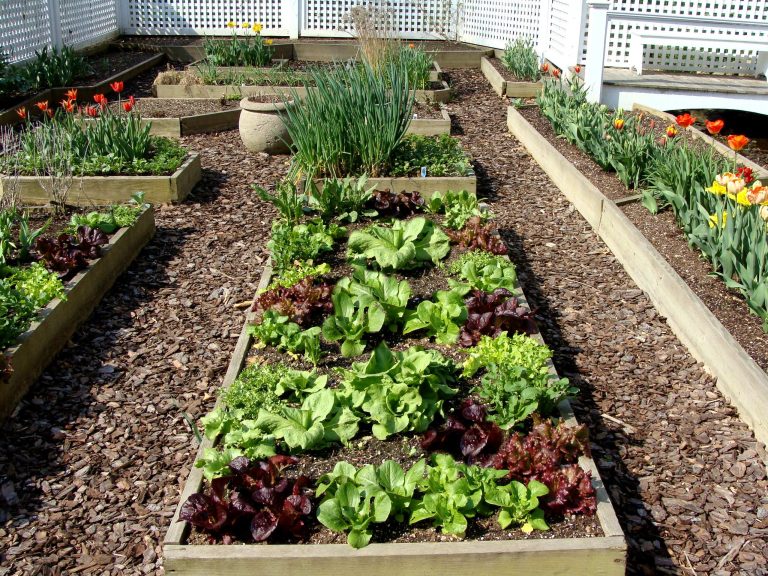 Photo of a large traditional partial sun backyard mulch formal garden in New York.