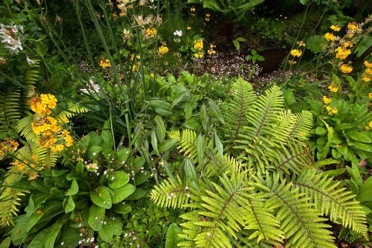 Photo of a small traditional shade backyard pond in Seattle.