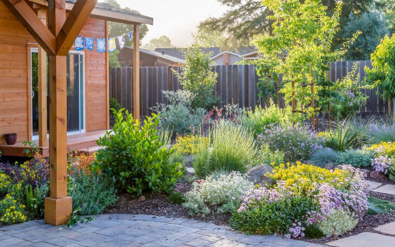 Photo: © Jude Parkinson-Morgan