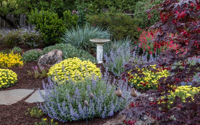 Photo: © Jude Parkinson-Morgan