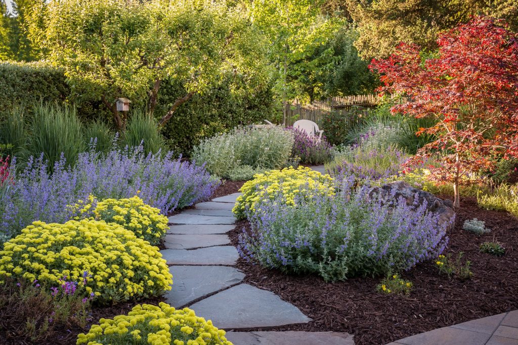 Photo: © Jude Parkinson-Morgan