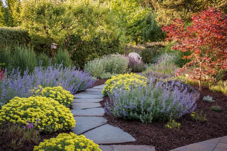 Photo: © Jude Parkinson-Morgan