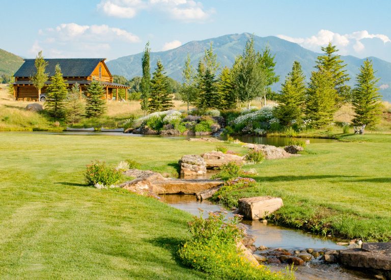 Photos taken by Melon Gosha