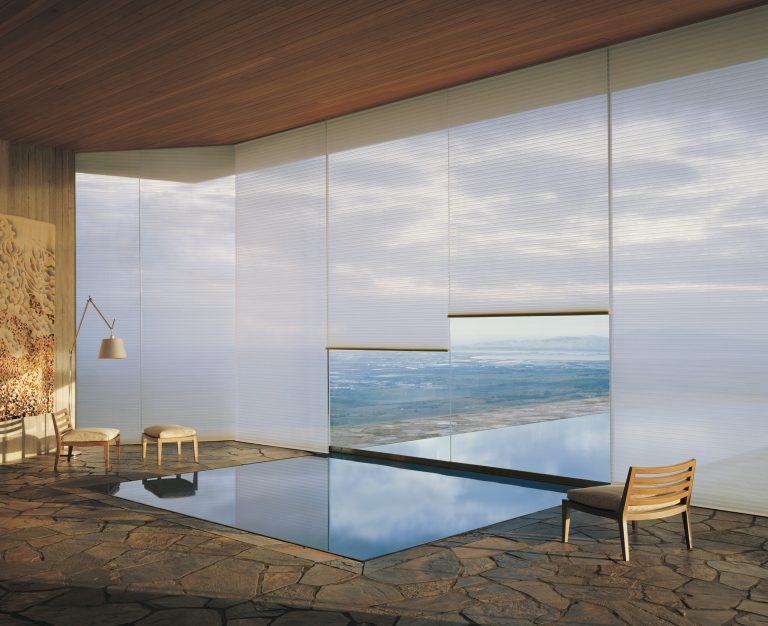 Pool house - large contemporary stone and rectangular lap pool house idea in Orange County