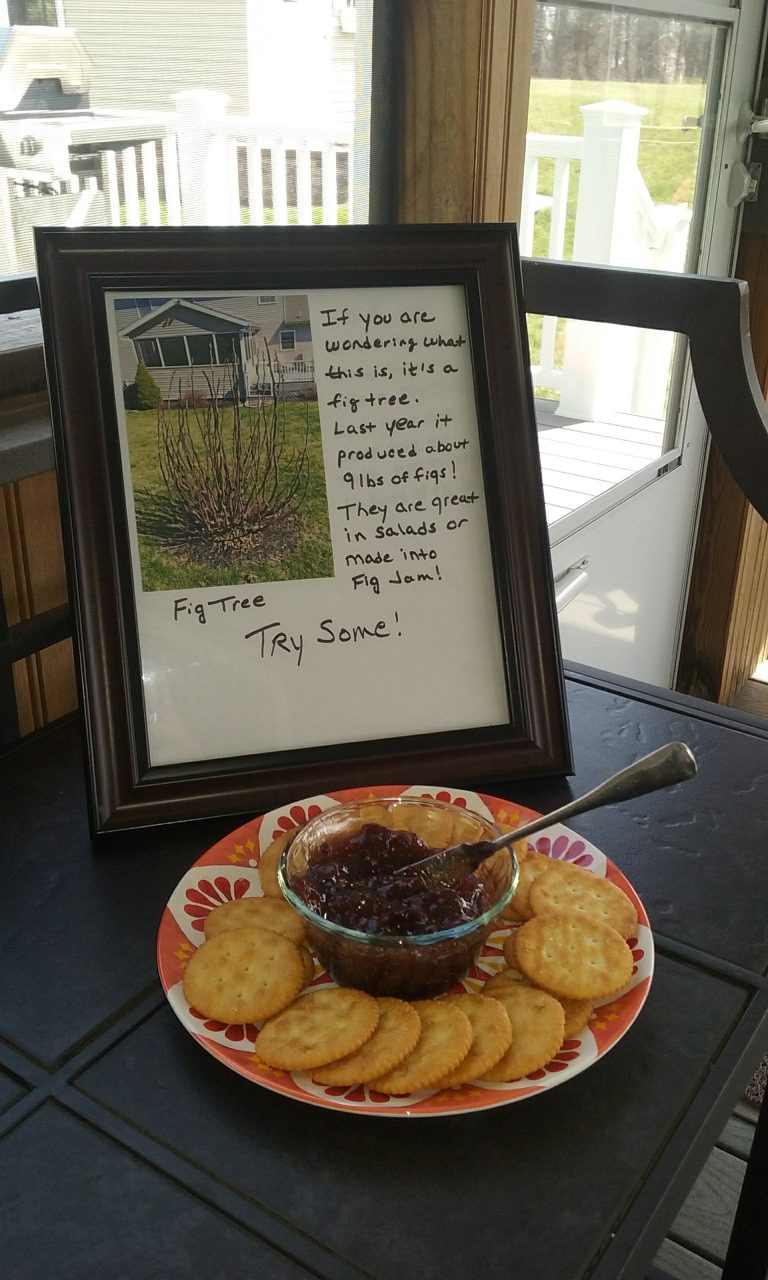 Porch photo in Philadelphia by Coldwell Banker Hearthside Realtors | Outdoor Photos | Porch | Landscaping | Landscape Design | Outdoor Living Space | Porch Design Ideas | Outdoor Living Space Ideas | Backyard Design