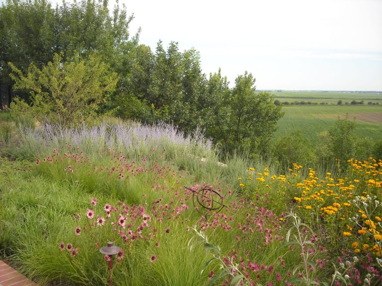Prairie overlooking the countryside