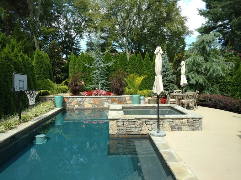 Privacy screening pool with Emerald Green Arborvitae hedge...Lush backdrop for Blue Atlas Cedar!