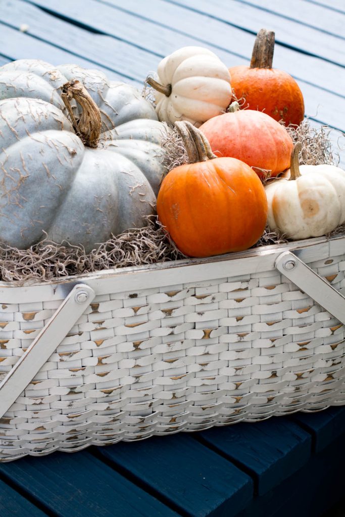 Pumpkin pretty with blue Rikki Snyder © 2012 Houzz