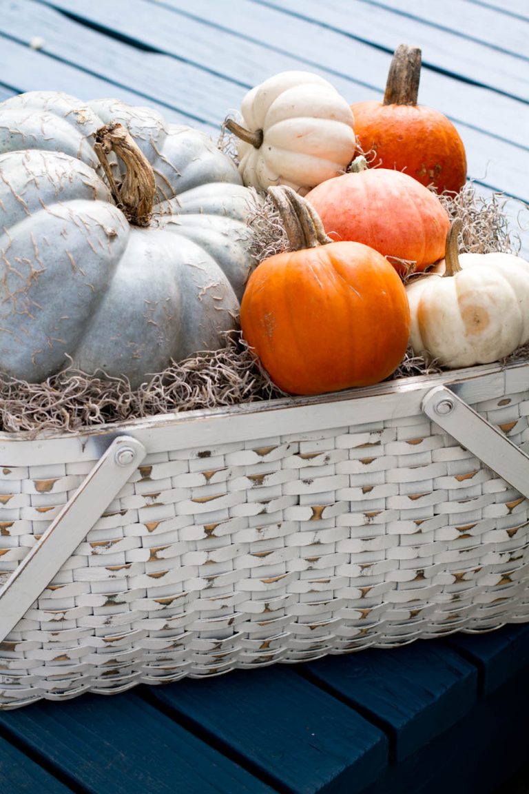 Pumpkin pretty with blue Rikki Snyder © 2012 Houzz