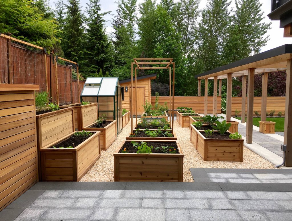 Raised planter boxes arranged to maximize light and micro climate conditions