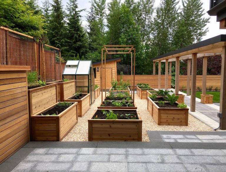 Raised planter boxes arranged to maximize light and micro climate conditions