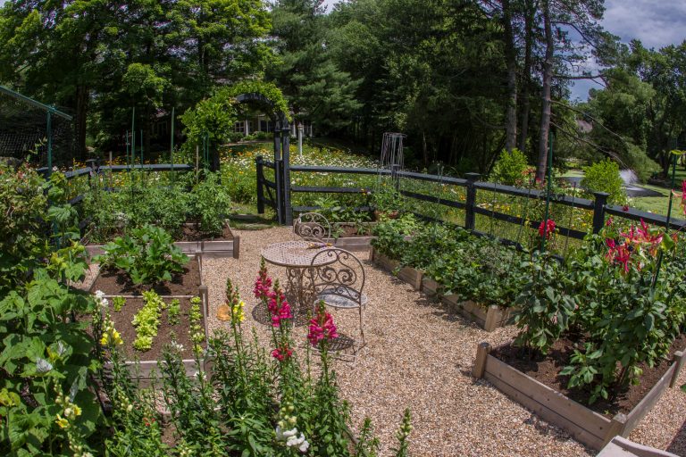 Raised vegetable and cutting flower beds, surround a new gravel sitting space.
