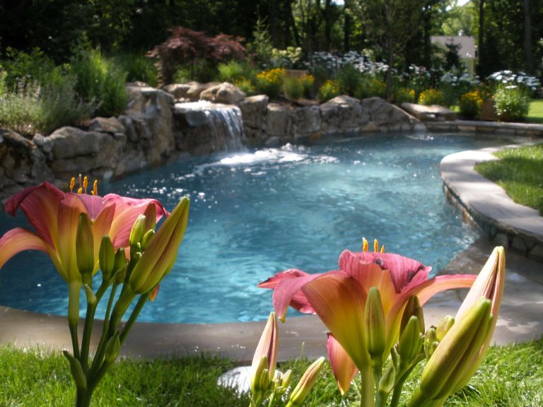 Raspberry Pixie Day Lily provides a great addition to the yellow zagreb coreopsis and white flowers, shasta daisy, on the opposite side.

matt meaney @ Artisan landscapes and pools by Artisan Landscapes and Pools | Pool design | Pool Contracting | Swimming Pool Ideas | Swimming Pool Design Ideas