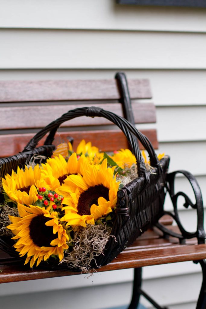 Rikki Snyder © 2012 Houzz