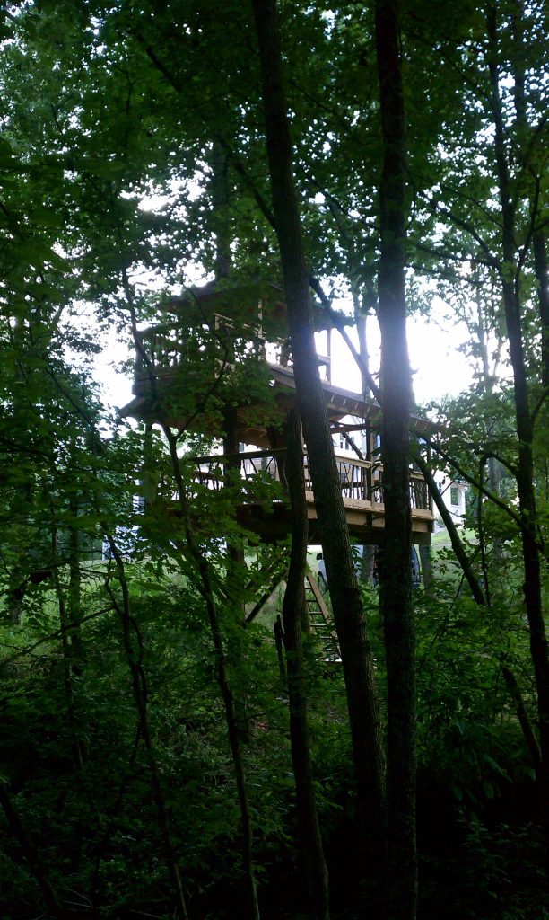 Robinson Construction