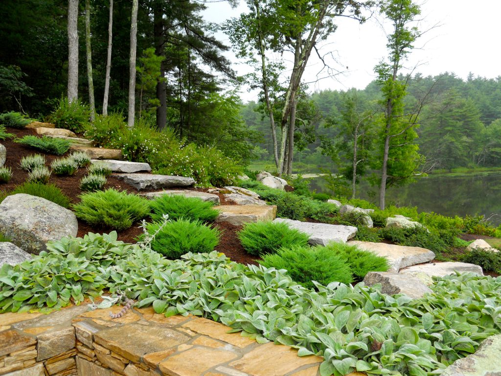 Rock garden bordering stone wall and viewing terrace. Plantings include a variety of evergreen groundcovers along with heathers, flowering shrubs, and low-maintenance perennials.