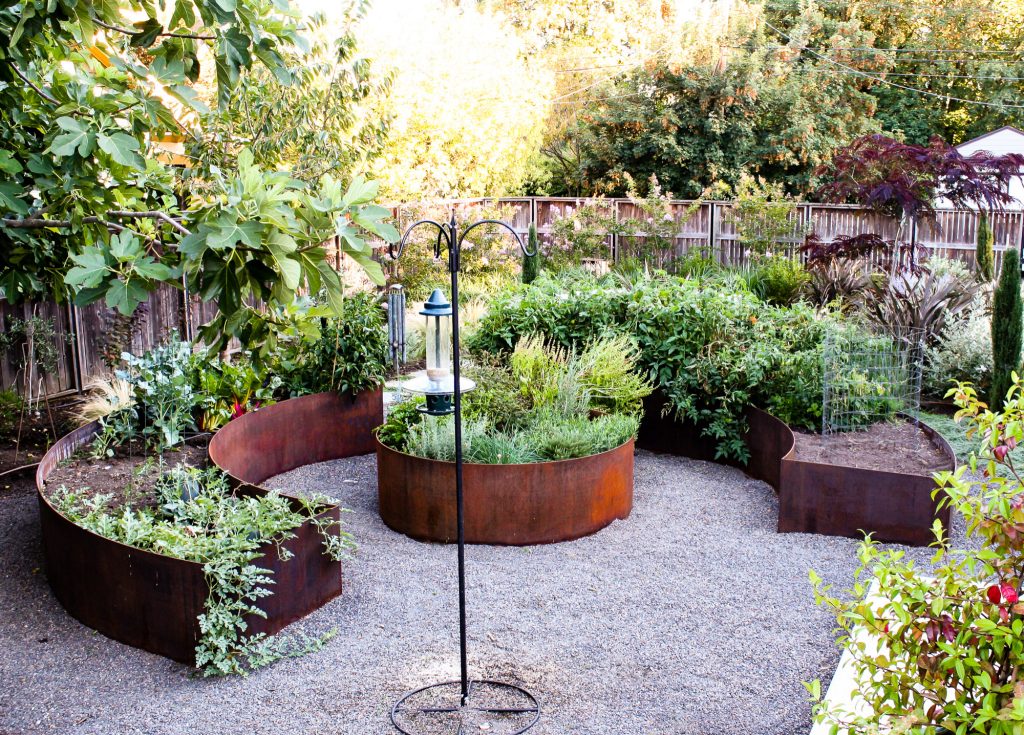 Rusted steel garden beds.