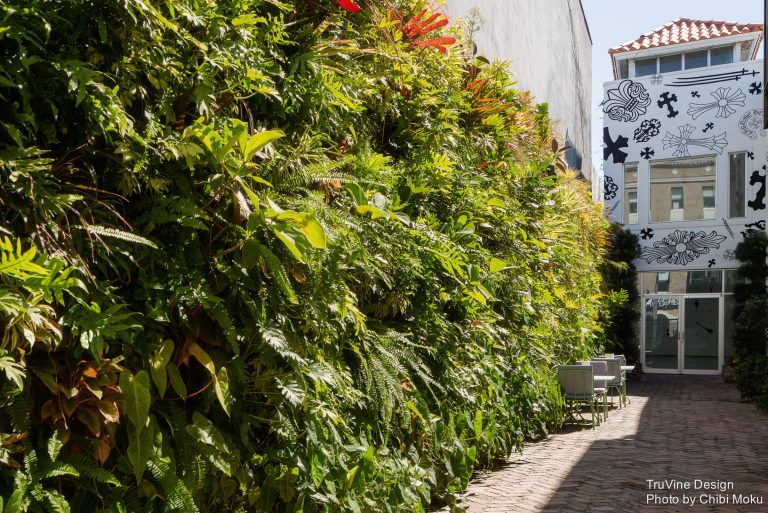 See the video for this project here - https://youtu.be/JJkC_HCsbds