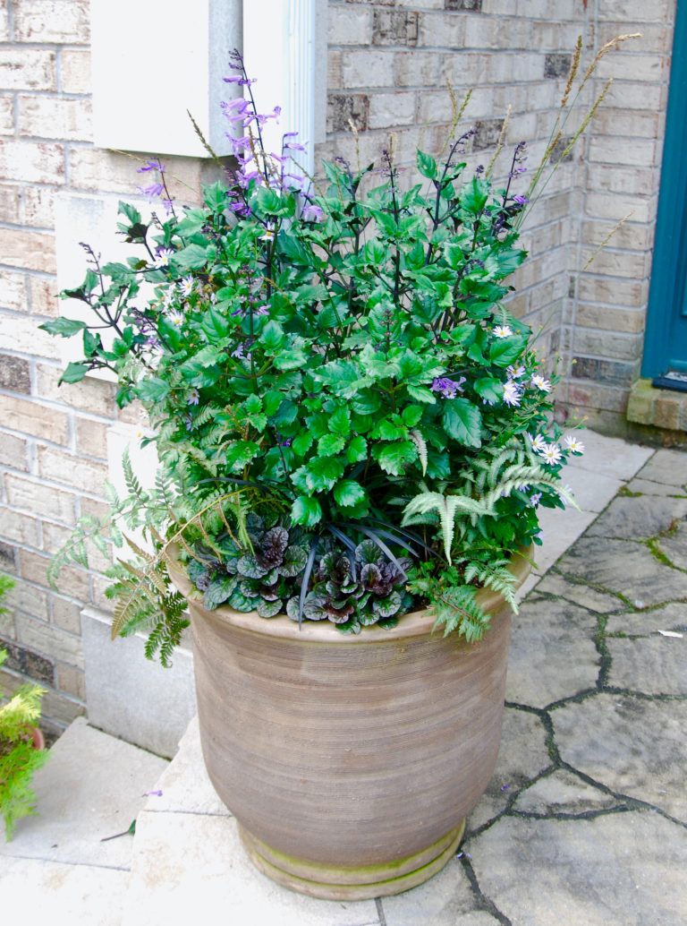 Small classic porch idea in Bridgeport by Holmes Fine Gardens | Outdoor Photos | Porch | Landscaping | Landscape Design | Outdoor Living Space | Porch Design Ideas | Outdoor Living Space Ideas | Backyard Design