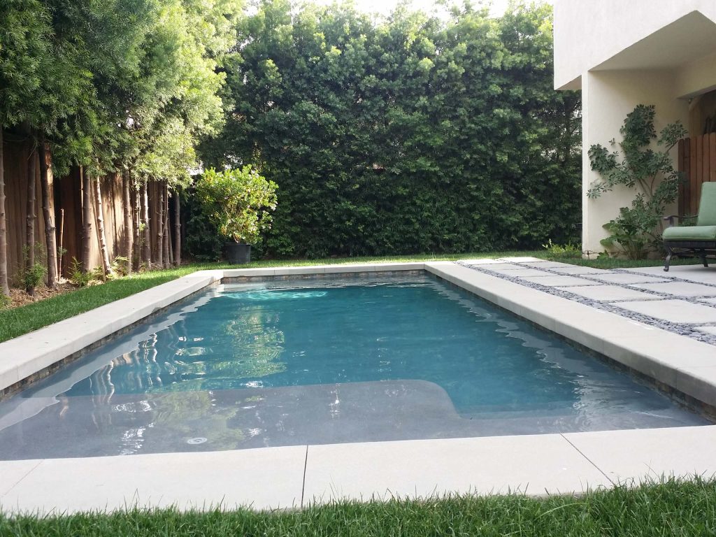 Small minimalist backyard concrete paver and rectangular pool photo in Los Angeles