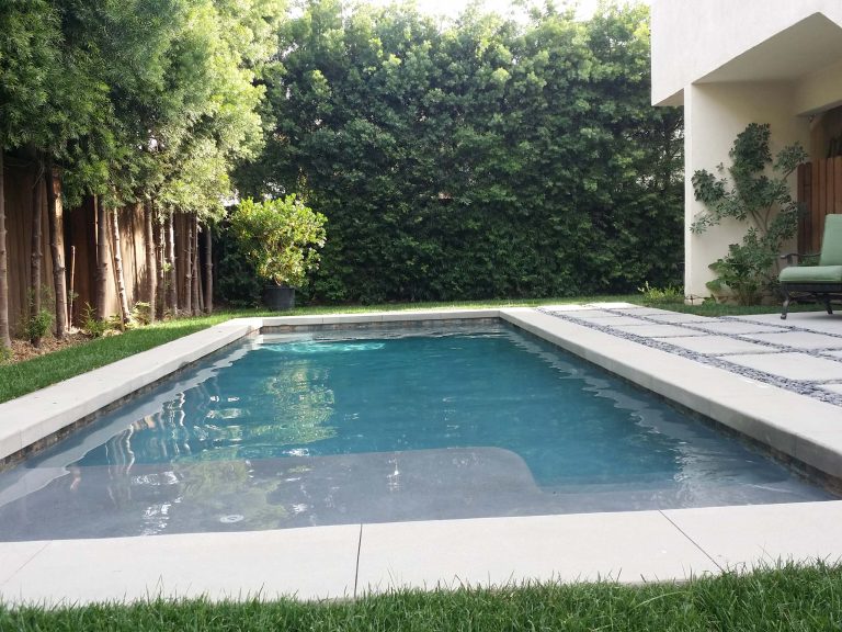 Small minimalist backyard concrete paver and rectangular pool photo in Los Angeles