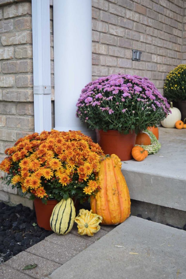 Small mountain style concrete front porch photo in Chicago with a roof extension by Home By Hiliary | Outdoor Photos | Porch | Landscaping | Landscape Design | Outdoor Living Space | Porch Design Ideas | Outdoor Living Space Ideas | Backyard Design