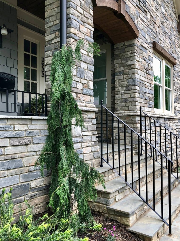 The 2018 redesign gave us the opportunity to introduce a narrow form of weeping Alaskan cedar to speak to the height of the home. Photo by Jay Sifford. by Jay Sifford Garden Design | Outdoor Photos | Porch | Landscaping | Landscape Design | Outdoor Living Space | Porch Design Ideas | Outdoor Living Space Ideas | Backyard Design
