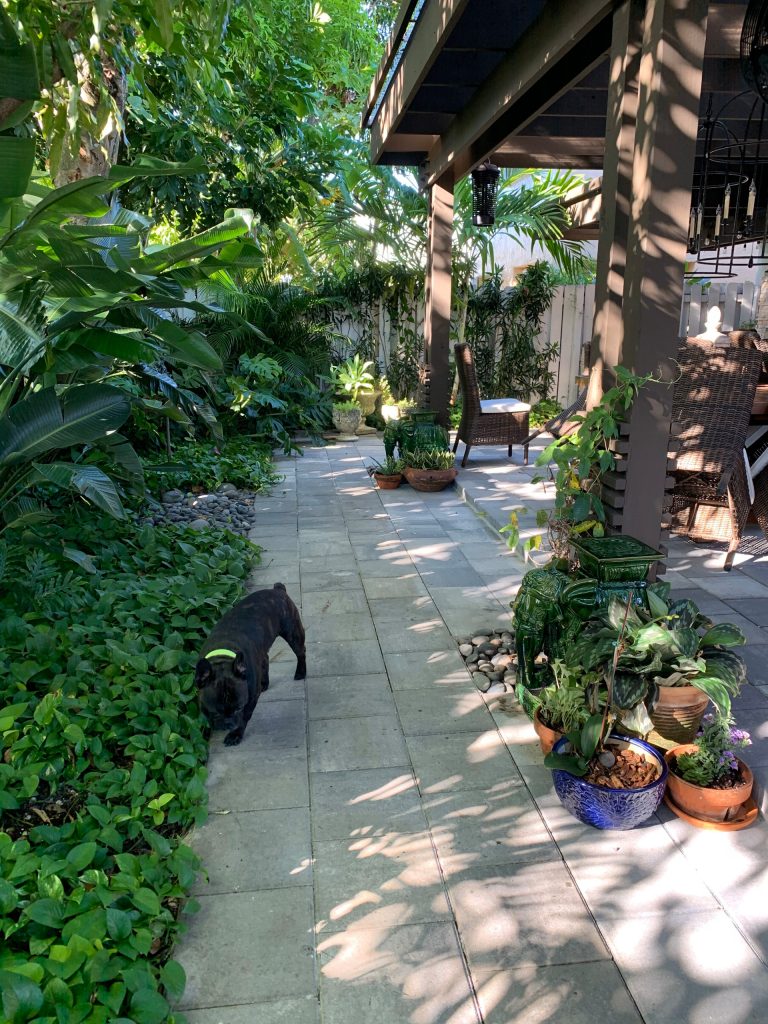 The double post pergola columns with trellis detail are used to grow the beautiful flower vines. This sure will be beautiful by Spring! The landscape is the perfect backdrop to this beautiful set up patio.