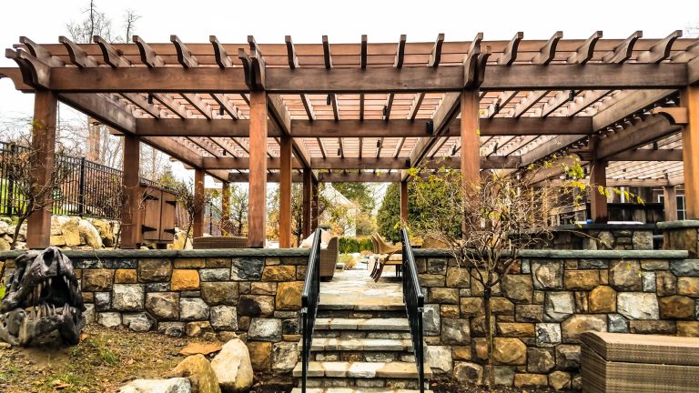 The mighty ipe pergola.... and T-Rex.