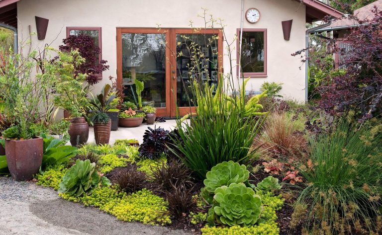 The office garden