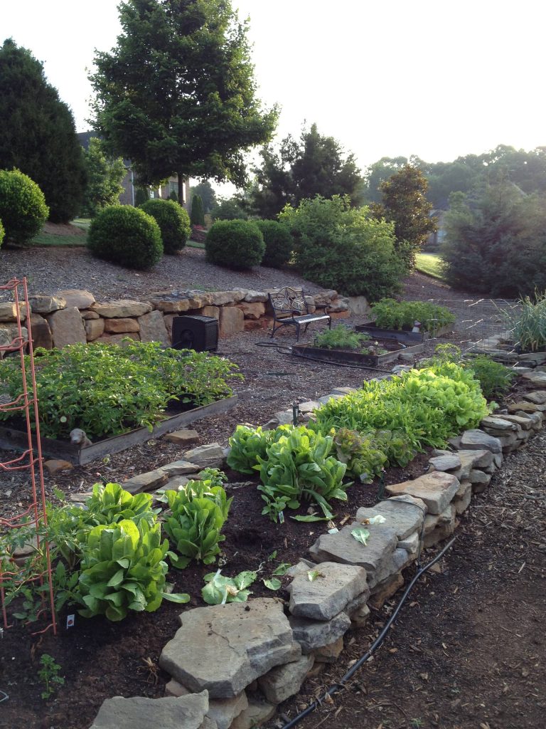 The owners of this vegetable garden purchased the undeveloped lot adjacent to their home and developed the sloping area into a collection of raised beds. - Photo by Kevin Bost