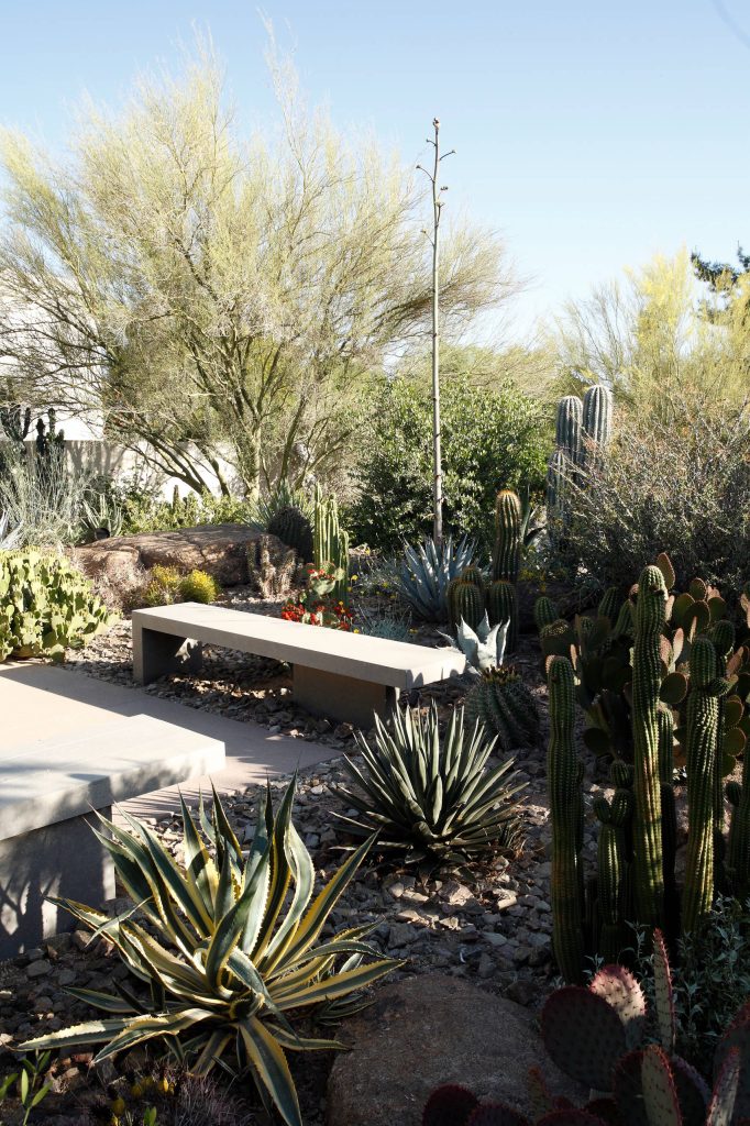 The stunning modern architecture of this Paradise Valley residence is highlighted by pocket gardens and showcases unique specimen cactus in desert botanical garden style. Landscape Architect: Greey|Pickett