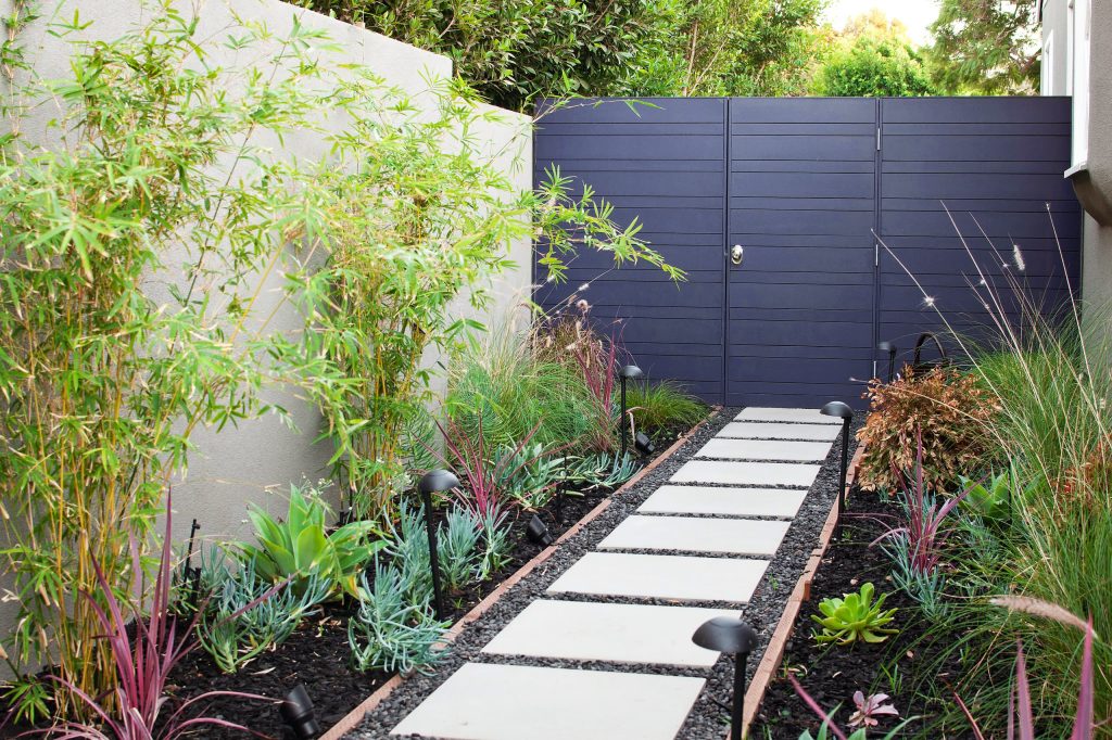 This is an example of a contemporary backyard landscaping in Los Angeles.