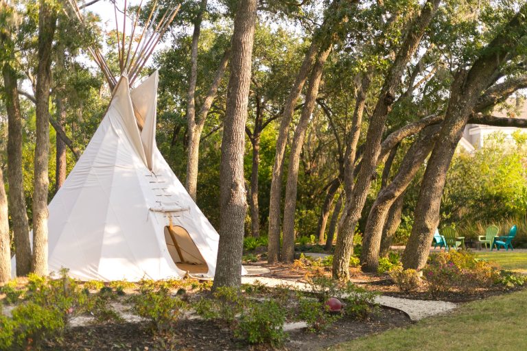 This is an example of a contemporary backyard outdoor playset in Charleston.