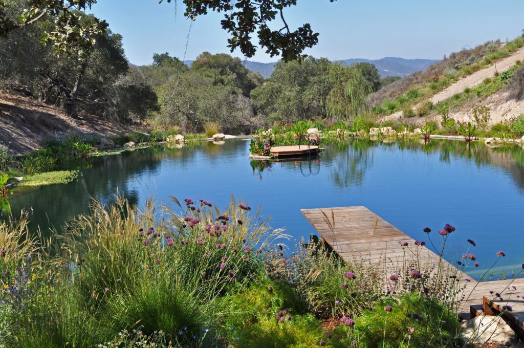 This is an example of a huge contemporary full sun backyard gravel pond in Santa Barbara for summer.