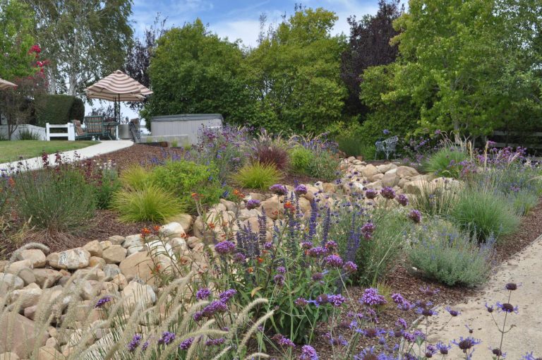 This is an example of a large contemporary drought-tolerant and full sun backyard gravel garden path in Santa Barbara for spring.