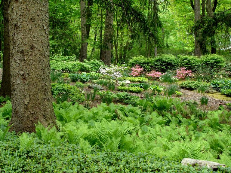 This is an example of a large traditional partial sun backyard stone garden path in New York.