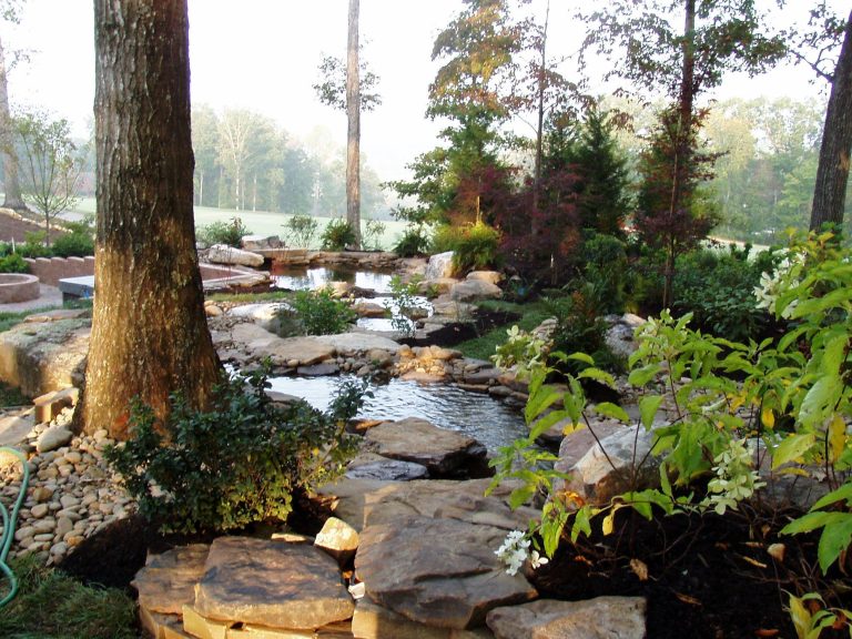 This is an example of a large traditional shade and rock backyard stone formal garden in Other.
