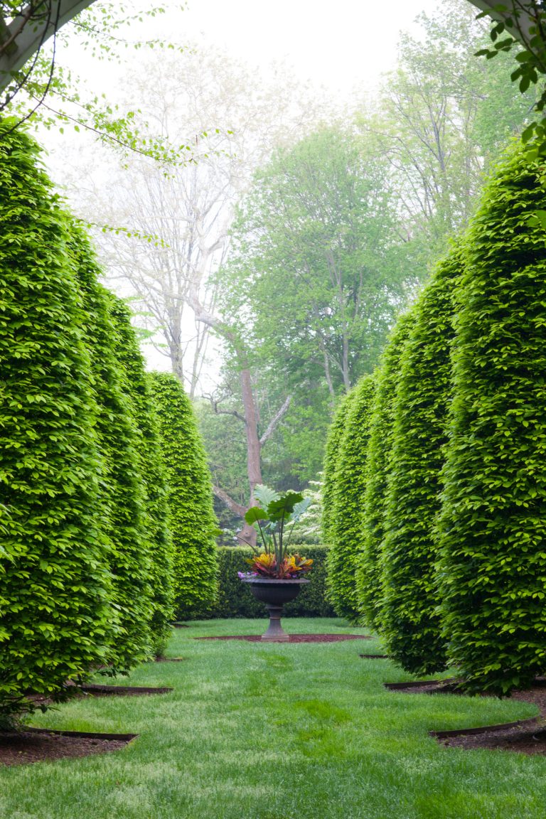 This is an example of a mid-sized traditional partial sun backyard formal garden in New York.